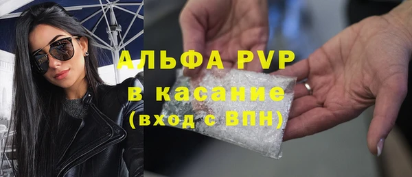 стаф Баксан