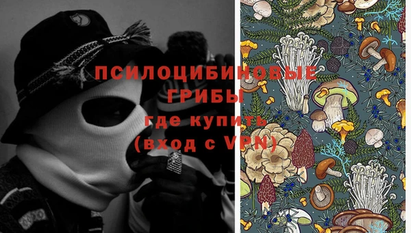 а пвп мука Белокуриха